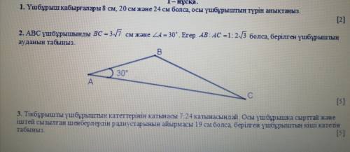 Геометрия БЖБ 1 нұска