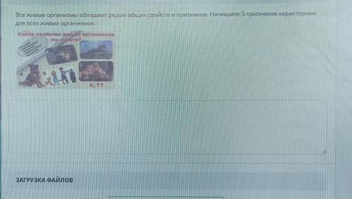 ТЕКСТ ЗАДАНИЯ Все живые организмы обладают рядом общие свойств и признаков. Напишите 5 признаков хар