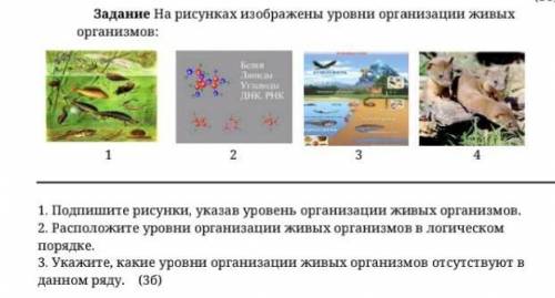 Бражены уровни организации живых о)организмов:31. Подпишите рисунки, указав уровень организации живы