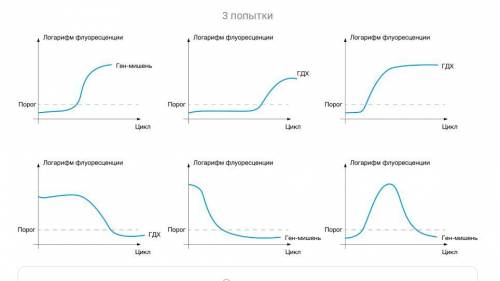 Среди показанных ниже кривых амплификации выберите те, которые соответствуют следующей ситуации: экс