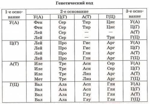 В результате мутации на участке гена, имеющего состав АТГ ЦЦЦ АТА АГЦ А, произошла вставка тимина и