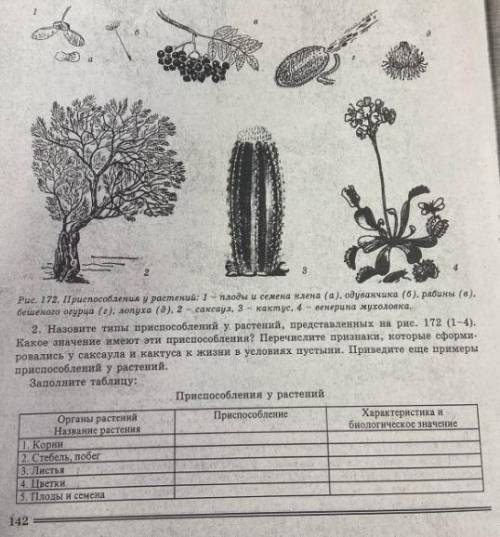 Решить задание из файла