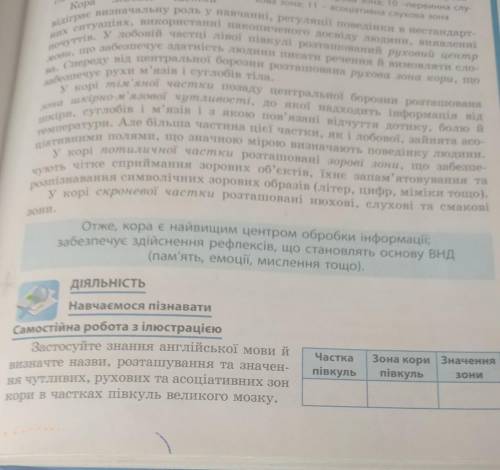 Таблиця: частка півкуль , зона кори півкуль, значення зони, будь ласка до іть ​