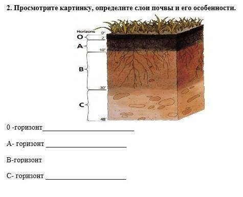 . Просмотрите картинку, определите слои почвы и его особенности. 0 -горизонтА- горизонт В-горизонтС