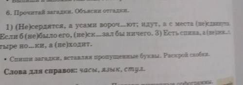 6. Прочитай загадки. Объясни отгадки. 1) (Не)сердятся, а усами вороч... ют; идут, ас места (не)сдвин