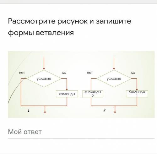 Помаги те у меня сор ​