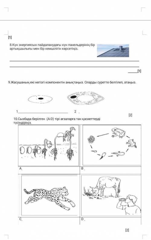 Тжб это естественнознание шестой класс ​