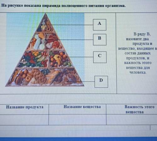3. На рисунке показана пирамида полноценного питания организма. АBВ ряду В,назовите двапродукта ивещ