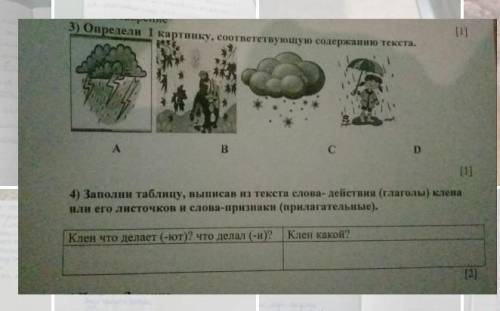 Сор 3 четверть по русскому языку 4 класс клён что делает? ​