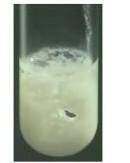 1. Дана соль, название которой — хлорид диамминсеребра. Эта соль является1)комплексной2)кислой3)осно