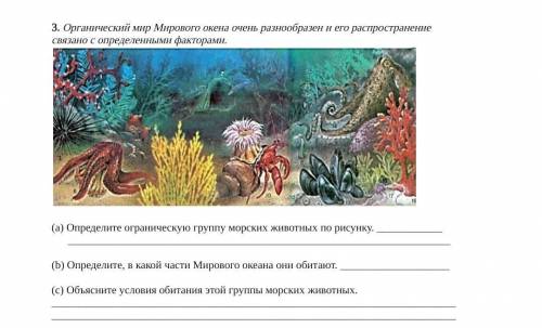 органический мир мирового океана очень разнообразен и его распространение связано с определенными фа