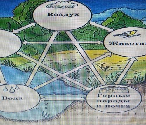 укажите компонент, не названный на схеме взаимодействия компонентов природного комплекса. Гидросфера