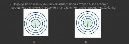 На рисунке показаны линии магнитного поля, которое было создано проводником с током. Определите напр