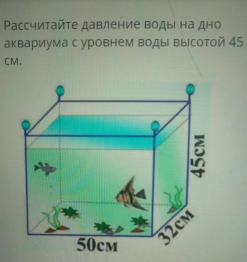 Рассчитайте давление воды на дно аквариума с уровнем воды высотой 45СМ.45см32см50см​