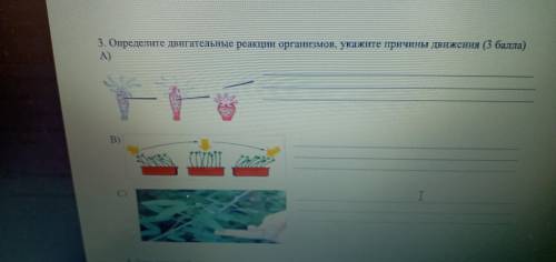 У меня сор по биологии ! Определите двигательные реакции организмов, укажите причины движения.