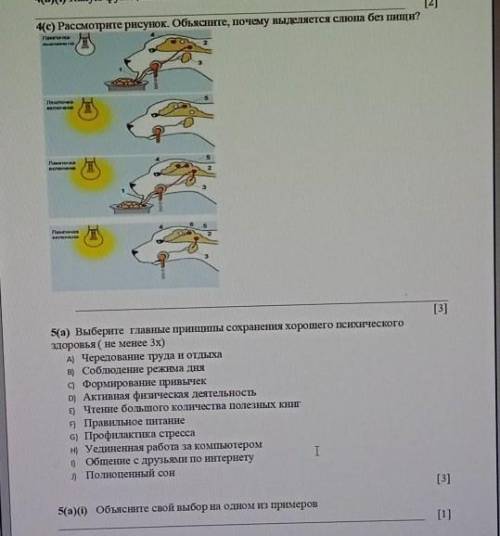 4(с) Рассмотрите рисунок. Обьясните, почему выделяется слона без пищи? алокаІракаBINOTaьныеекона[1]n