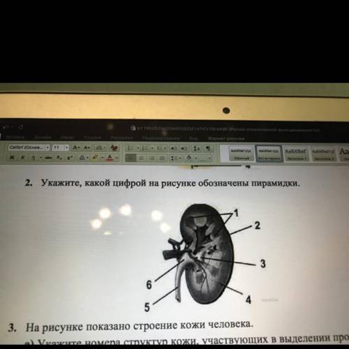 2. Укажите, какой цифрой на рисунке обозначены пирамидки. 2 3 6 6 4 5
