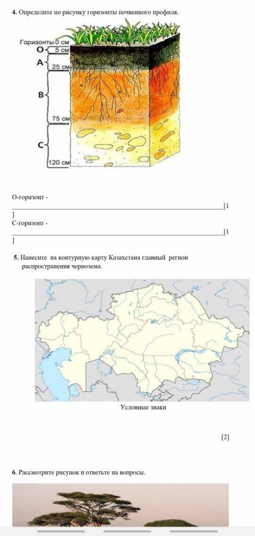 Соч по географии 7 класс