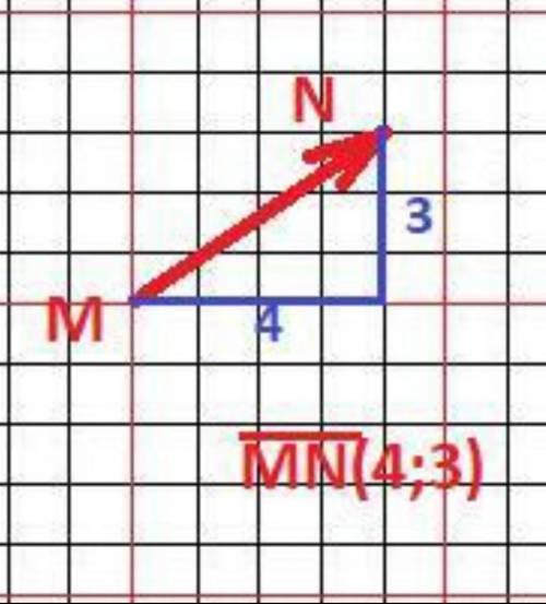 Изобразите вектор MN. Укажите начало и конец вектора​
