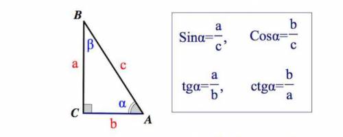 В △АВС ∠С = 90°,AC=9;AB=15. Найдите tg B.