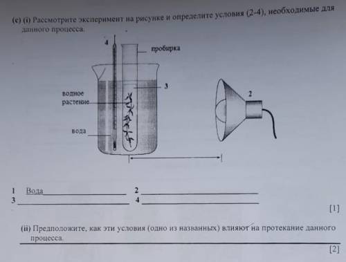 3с. расмотрите эксперемент на рисунке и определите условия (2-4), необходимые для данного процесса​