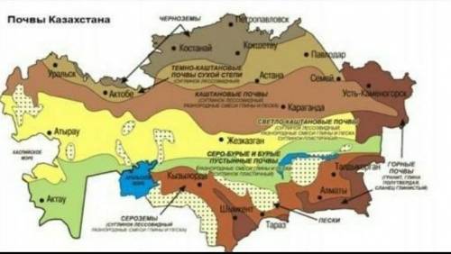 На формирование и распространение почвы влияют различные факторы Определите на карте Казахстана тип