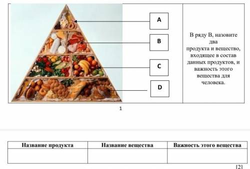 На рисунке показана пирамида полноценного питания организма. В ряду В, назовите два продукта и вещес