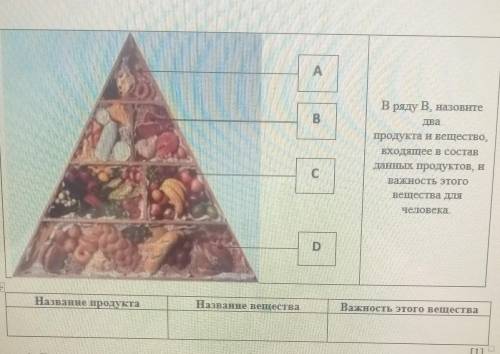 Assay 3. На рисунке показана пирамида полноценного питания организма.в Вряду назовитеДвапродукта и в