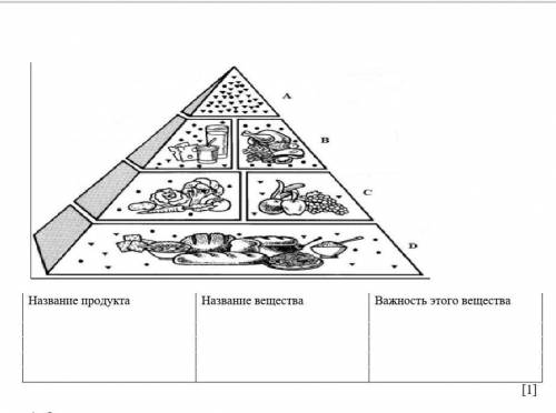 3 На рисунке показана пирамида полноценного питания организма. В ряду С, назовите продукты и веществ