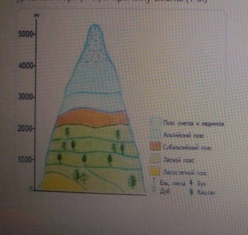 Определите название последовательной смены природных зон и ландшафтов с увеличением высоты над уровн