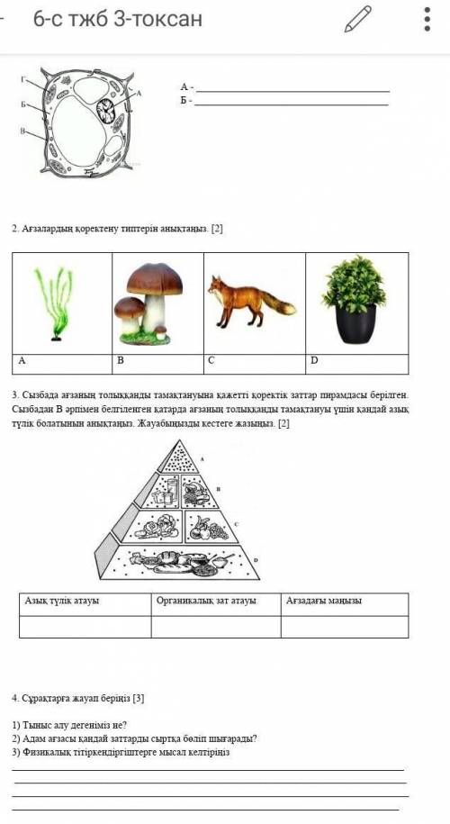 МОЖЕТЕ СОЧ 6 КЛАСС 3 ЧЕТВЕРТЬ ​