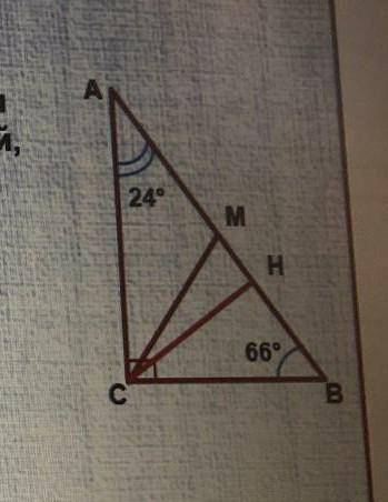 острые углы прямоугольного треугольника равны 24° и 66°. найдите угол между высотой и медианой, пров