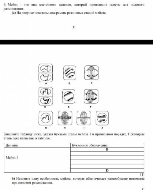 Мейоз это вид клеточного деления, который производит гаметы для полового размножения. (а) на рисунке