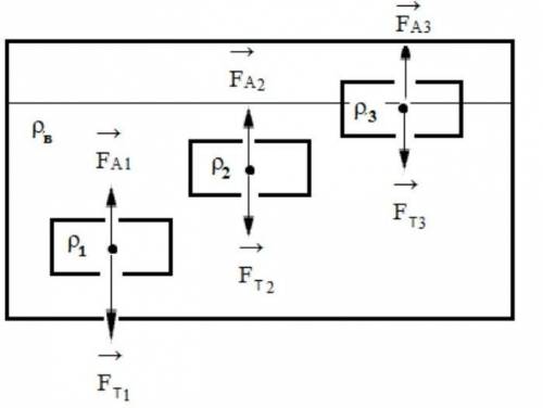 10. На рисунке 3 изображены три тела равного объема, но разной плотности, погруженные в воду, и силы