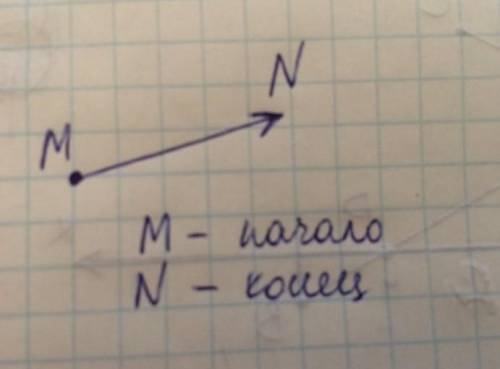 СОР! Изобразите вектор PM . Укажите начало и конец вектора