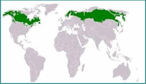 Рассмотри карту и ответь на вопросы a. Какая природная зона изображена на карте? b. Укажите географи