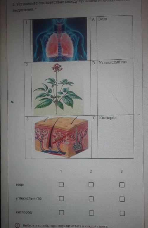 Установить соответствие между органами и продуктами их выделения водауглекислый газкислород у меня с