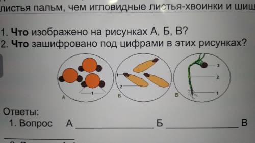 Принимаются только полные ответы.