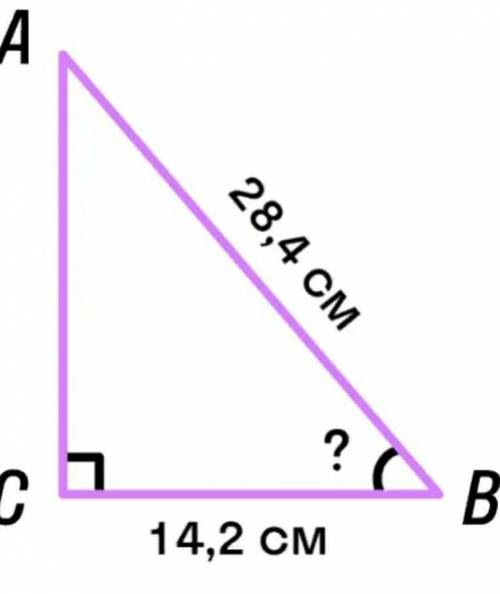 В прямоугольном треугольнике ABC (угол C=90°) сторона BC=14,2 см, а сторона AB=28,4 см. Найди угол B