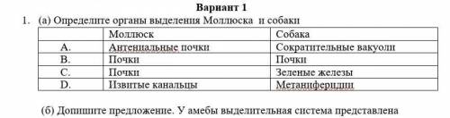 1. (а) Определите органы выделения Моллюска и собаки Моллюск СобакаA. Антениальные почки Сократитель