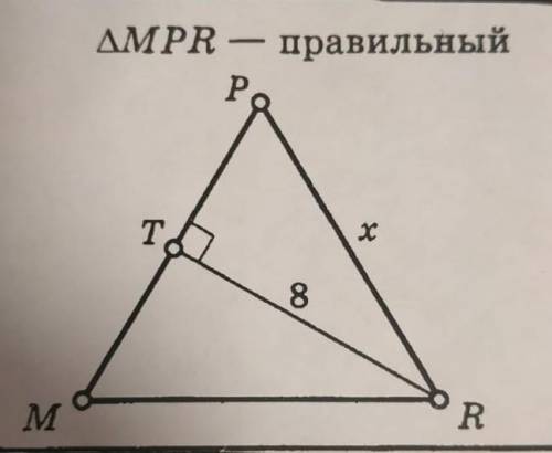 Дано треугольник mpr правильный TR равно 8 см Найдите PR​. (по теореме Пифагора)