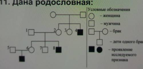 11. Дана родословная: Условные обозначенияhttps://cdn2.arhivurokov.ru/multiurok/html/2018/06/28/s_5b