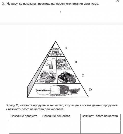 3. На рисунке покпзана пирамида полноценного питания организма В ряду C, назовите продукты и веществ