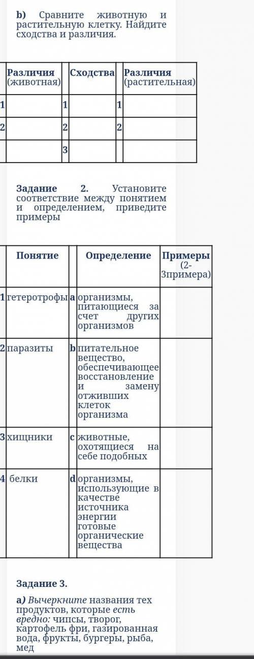 СОР по Естествознанию 6 класс 3 четверть ЕстествознаниеСОР 3 четверть6 КлассСОР 3 четвертьЗАДАНИЯ ПО