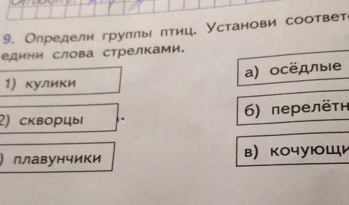 9. Определи группы птиц. Установи соответствия. Со едини слова стрелками.1) куликиа) осёдлые птицы2)