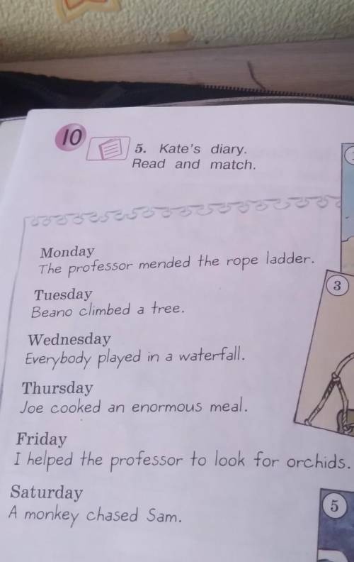10 5. Kate's diary.Read and match1R.1leMondayThe professor mended the rope ladder.TuesdayBeano climb