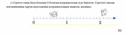 Cуретте санақ басы болатын О болатын координаталық түзу берілген. Суреттегі мысық пен    тышқанның т