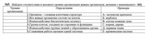 5. Найдите соответствия и назовите , начиная с наименьшего (6б) Уровни организации Определения Приме