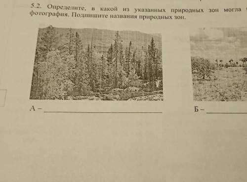 5.2. Определите, в какой из указанных природных. От фотография. Подпишите названия природных зон где