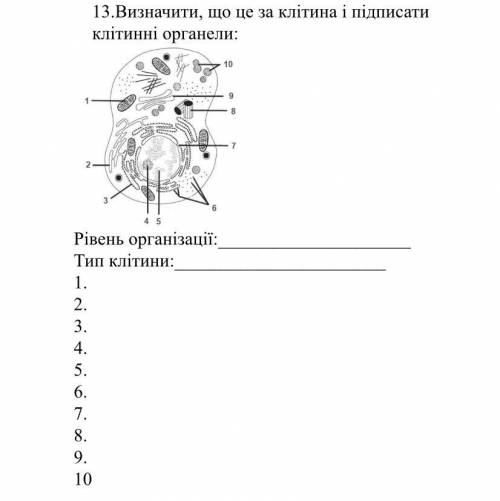 Напишите хотя бы название клетки